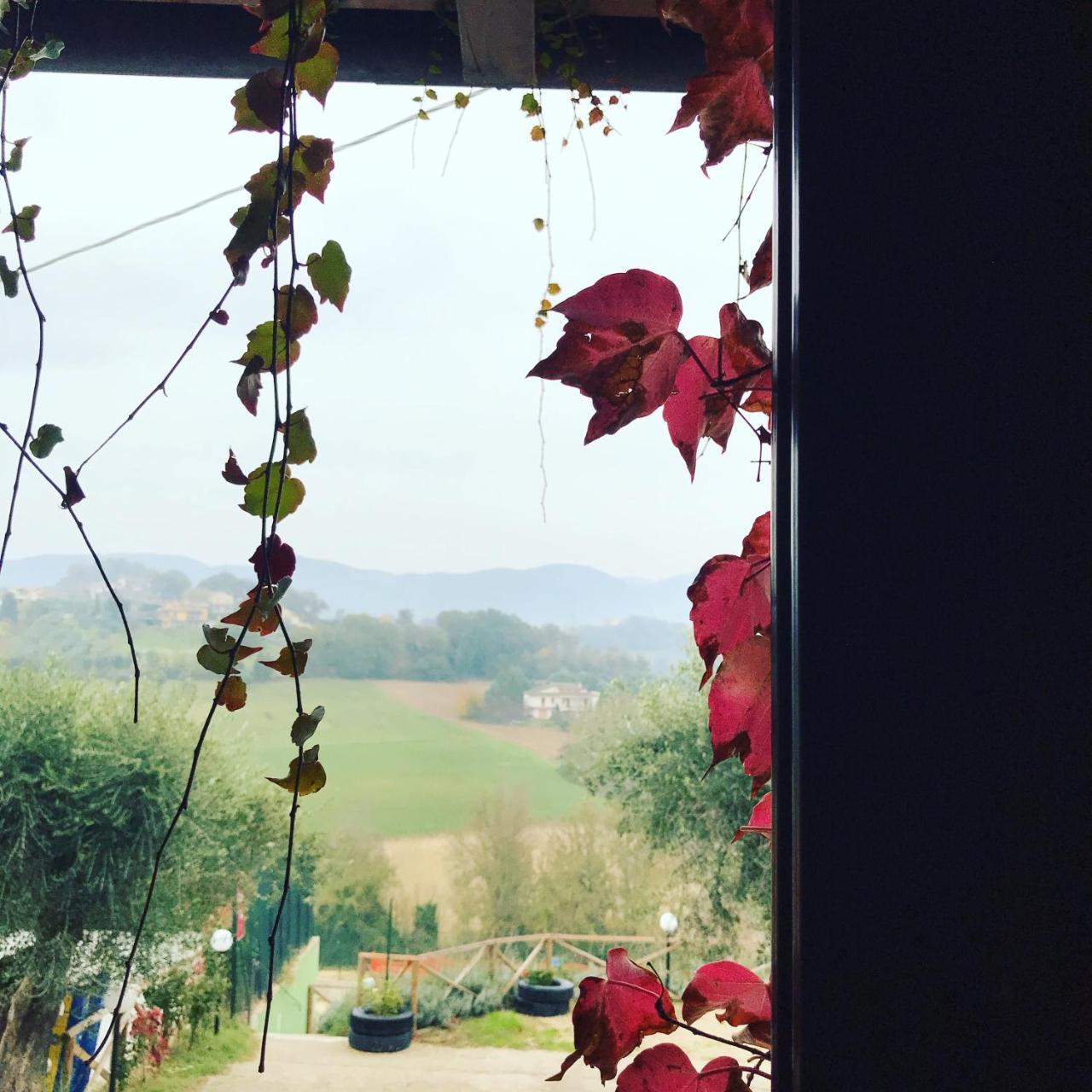 Il Pozzo Country House Collescipoli Exteriér fotografie